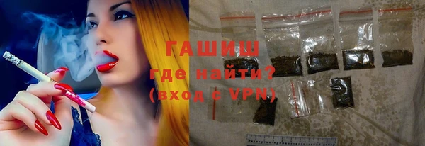 индика Богданович