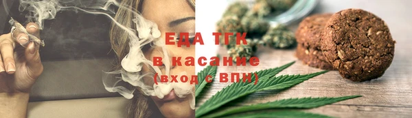 индика Богданович