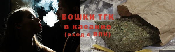 мдпв Богородск