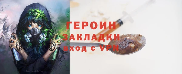 индика Богданович