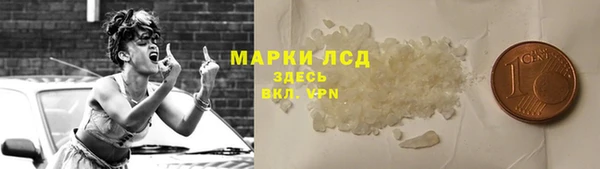 индика Богданович