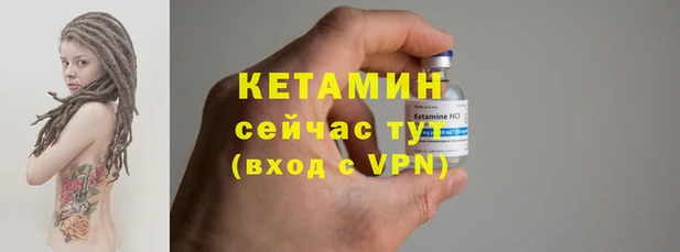 индика Богданович