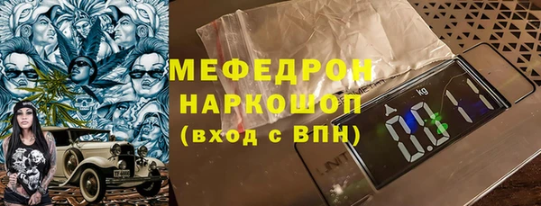 индика Богданович