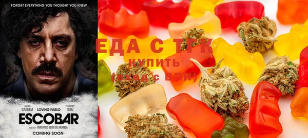 индика Богданович