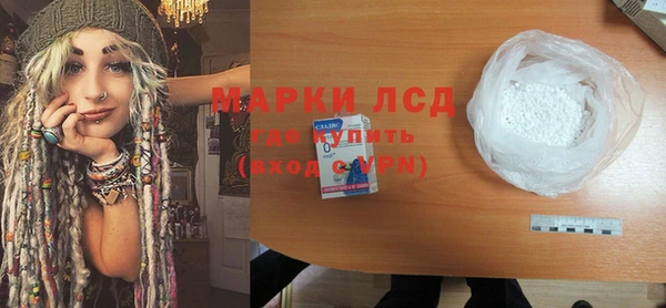 индика Богданович