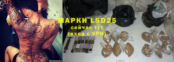индика Богданович