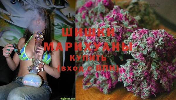 мдпв Богородск