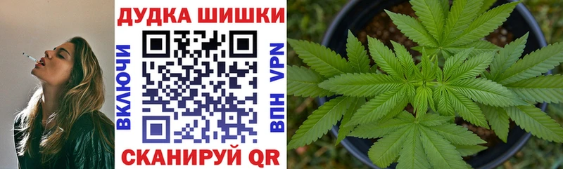 Купить где Судогда Каннабис индика